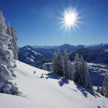 Διαμέρισμα Neuhaushof *